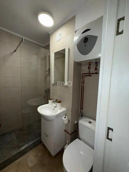 Apartament Victoriei // Veronica Micle - 6