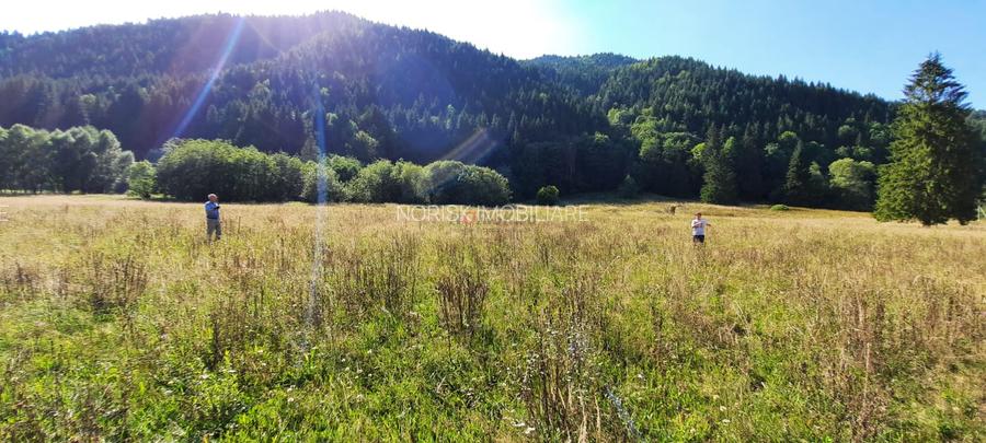 Teren Intravilan | Schitu Tarcău | 2089MP | Izvor | Platou - 7