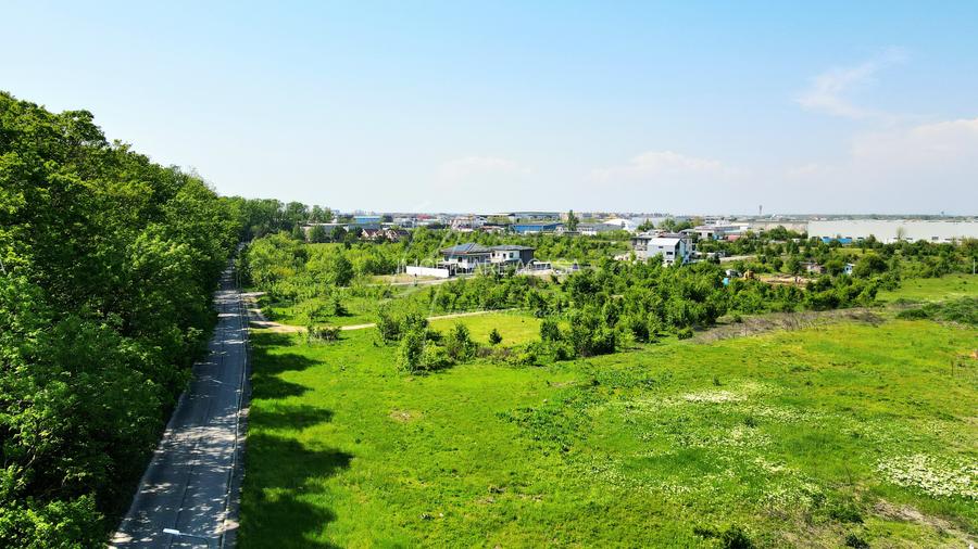 Teren intravilan, 2 fronturi, Drumul Padurea Pustnicu 65 - Greenfield - 32