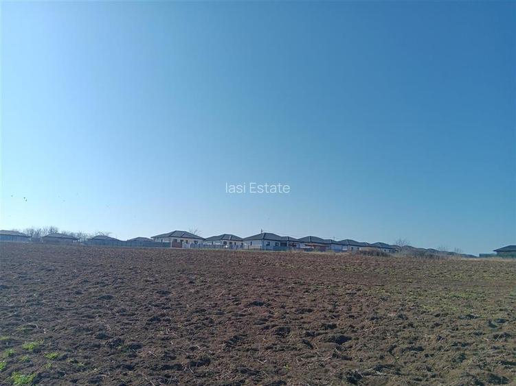 OCAZIE! Vorovesti Teren 83000mp intrav. si extrav. cu utilitati - 3