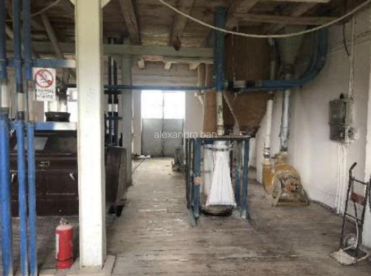 Moară cereale 50 t/zi + afacere funcțională | teren + hale | Bihor - 11