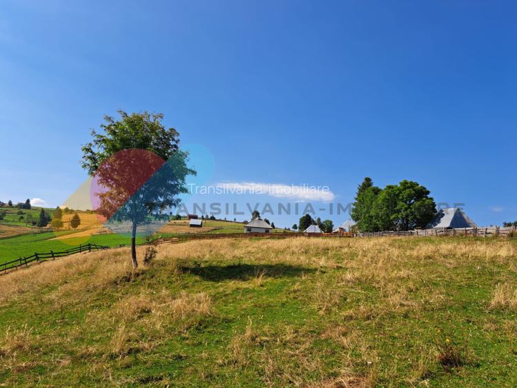 Teren Intravilan 1587 mp, Localitatea Maguri-Racatau - 12