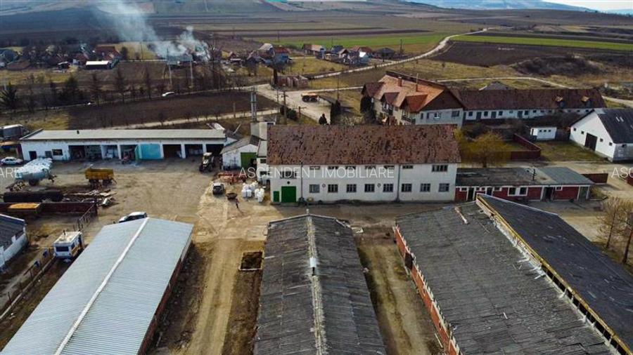 Ansamblu agrozootehnic cu renume,dotat +valoare exceptionala+potential versatil, - 49