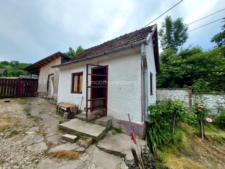 Casă cu farmec rural și confort modern–Sat Nojag, jud. Hunedoara 19 km de Deva - 8