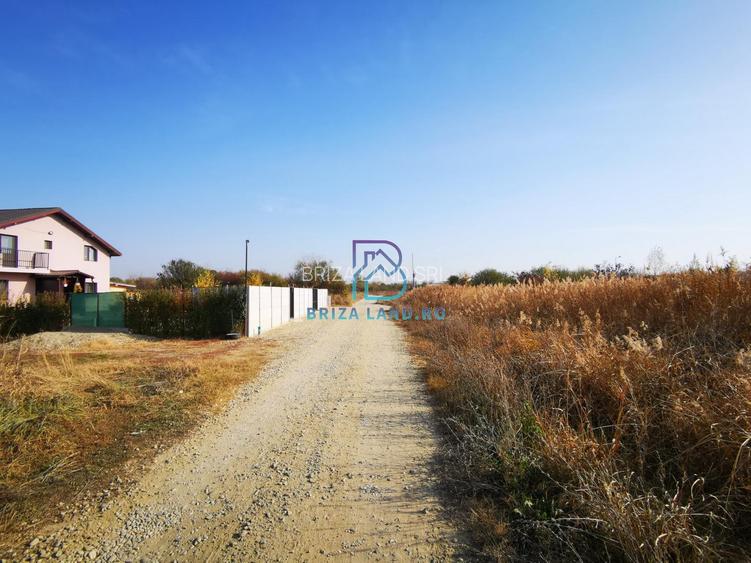 Domnesti, Teghes, teren la padure, str. Argesului, teren 2475mp, d=36.2m - 4