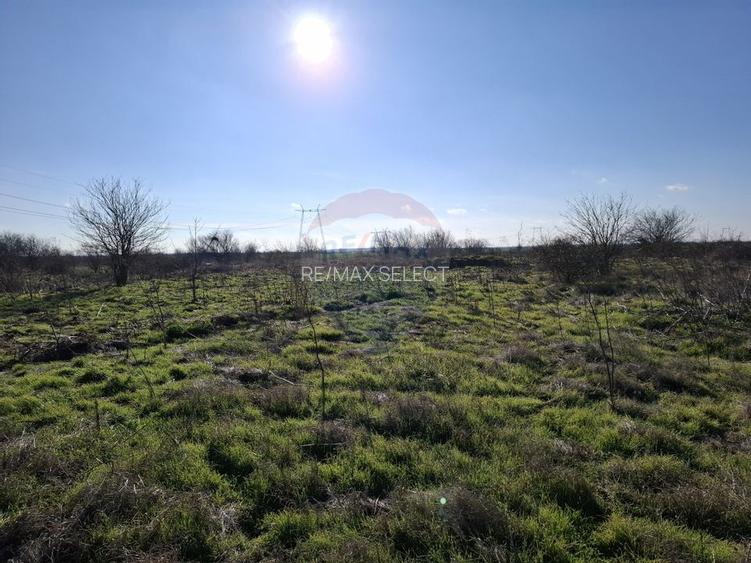 Vanzare teren intravilan Novaci, oras Mihailesti-Giurgiu, DJ 412 A - 9