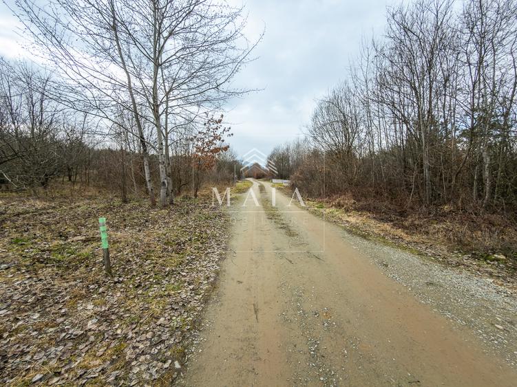 Teren extravilan 2200 mp, zona Calea Poplăcii, la 5 min de Valea Aurie