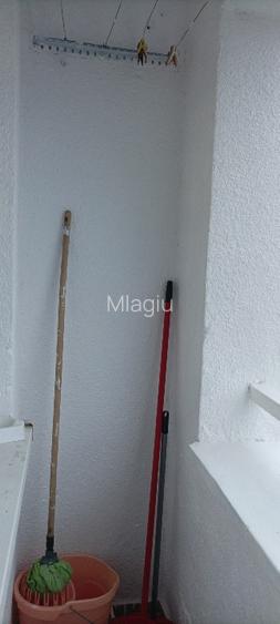 Proprietar inchiriez Grasoniera zona Ciuperca (1 Mai), renovata - prima inchirie - 11