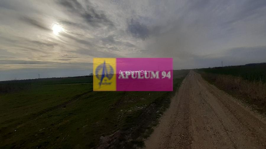 Parcelă lângă pădure în Ilfov - 4