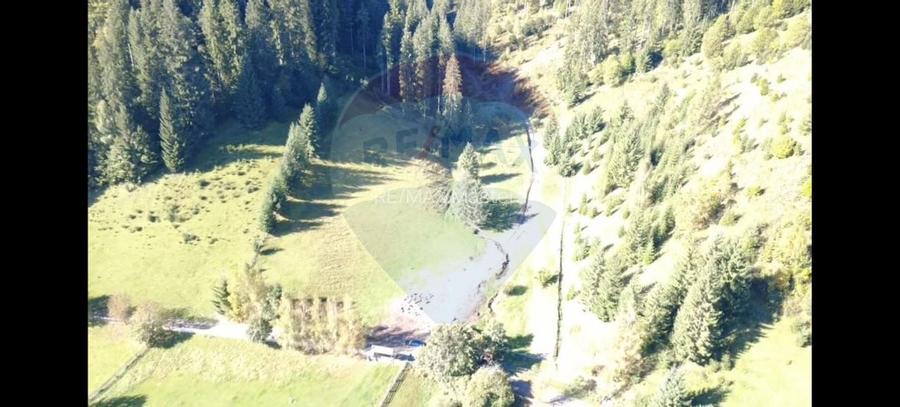 Teren 9555mp, din care 6120m.intravilan Vatra Dornei. - 4