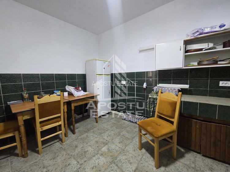 Casa de vanzare, potential pensiune, pe malul Timisului,Sag,comision 0 - 16