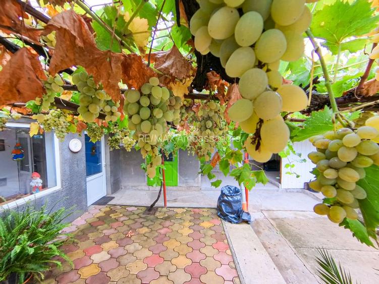 Casă cu 4 camere de vânzare în Buzias - 4