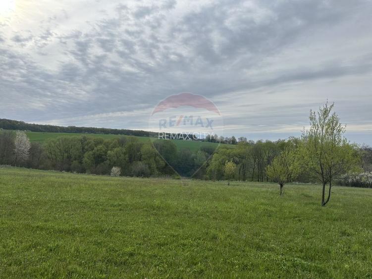 Teren 3,000mp Oslobeni / Strada Oslobeni punct GRADINA - 5