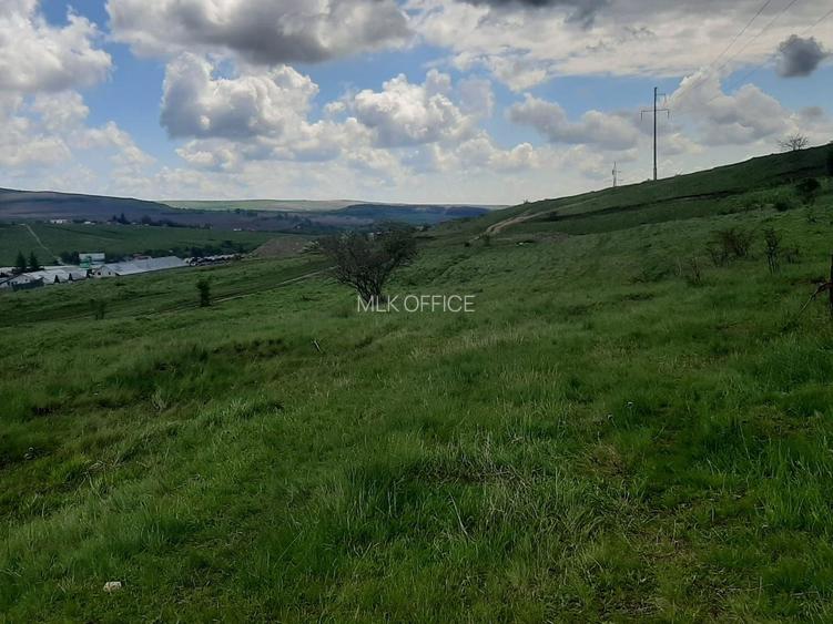 Teren de vanzare in Valcele - 8