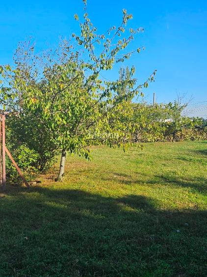 De vanzare teren intravilan ingradit si ponton la lacul Balotesti DJ101 - 2