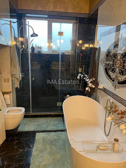 VILA -GRADINA ICOANEI-teren 619mp - 8