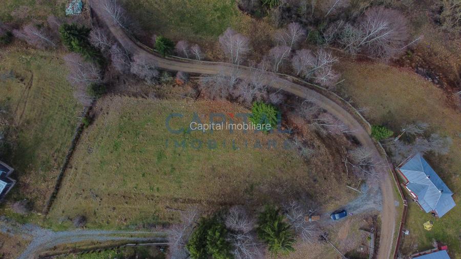 Teren constructie CABANA/CASA,  2980 MP cu utilitati, Dealu Negru, Calatele - 2