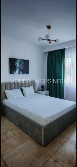 Vilă 4 camere, 2 băi , Lux , piscină , apă termală, Oncea , Bihor - 17