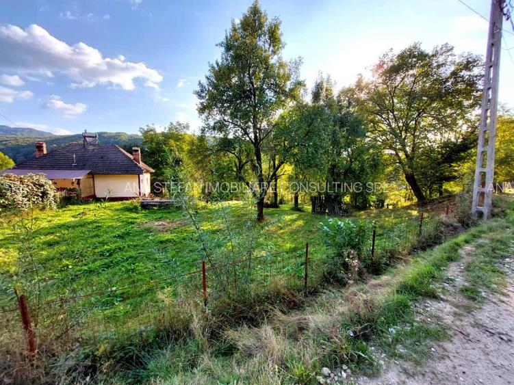 Teren intravilan+extravilan / Corbeni-Arges - 8