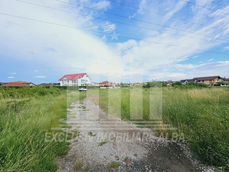 Teren intravilan | De vanzare | 5998 mp | 55 ml deschidere | Cetate - 3