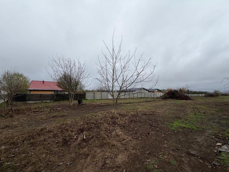 Tamasi, Corbeanca – teren 9838 mp - 4