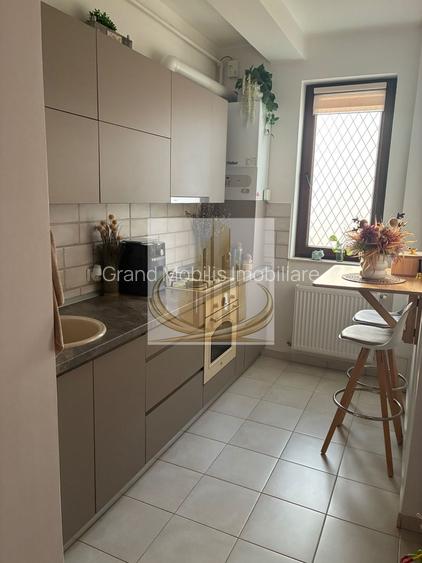 Ap 2 Cam, Curte Proprie | Dumbrăvița – Zona Hornbach | Investitie - 3