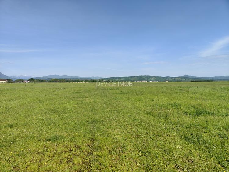 Teren Intravilan  cu destinatie casa vacanta -Glajarie - 4