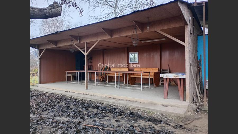 COMISION 0% - HALA + TEREN - 6