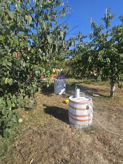 Proprietate imobiliara casa și teren în Criva de Sus - 4