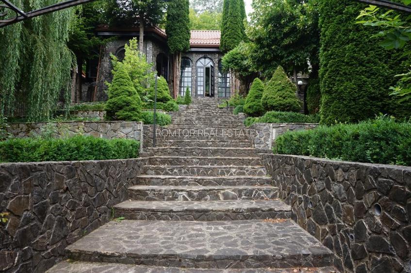 Campina Valea Doftanei Sotrile Paltinu - 15