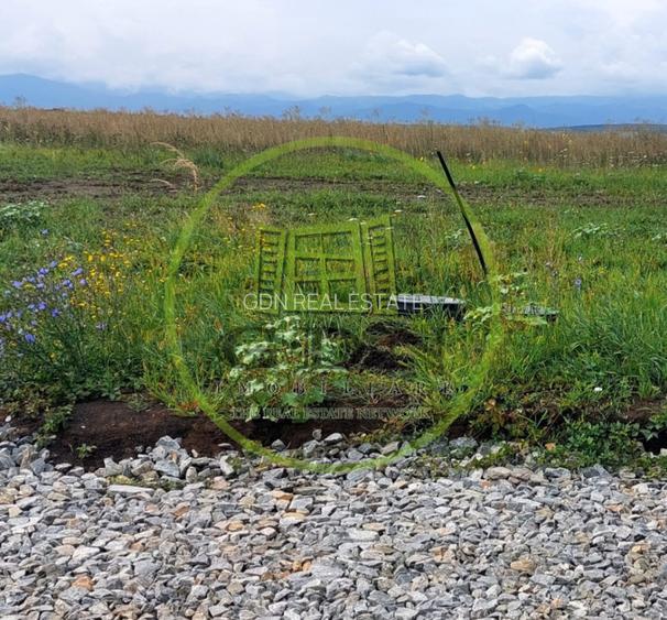 Teren Intravilan 500mp,spre vanzare in Sura Mica - 2