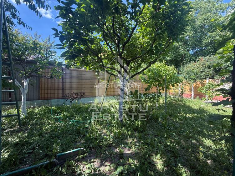 Casa individuala cu teren de vanzare, zona Plopi Timisoara - 2