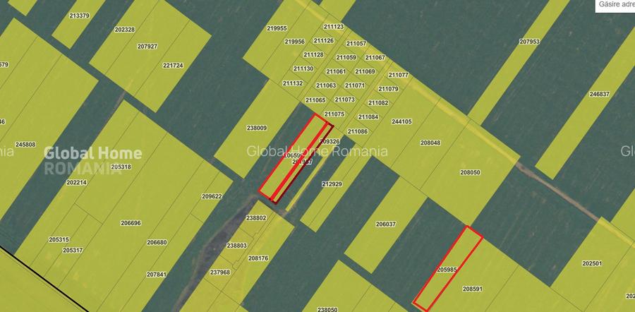 Oportunitate investițională–Terenuri în dezvoltare | Sect 4 – Drumul Dealul Viei - 2