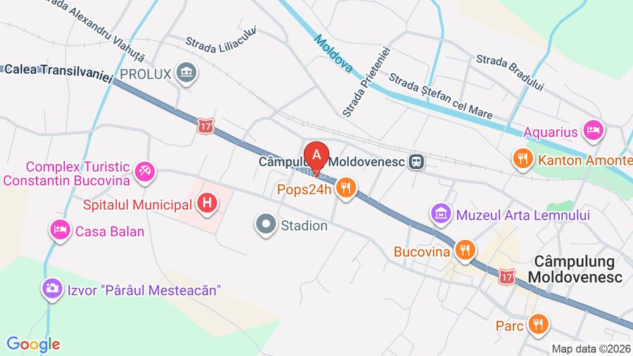 În vânzare comercial/pensiune/fabrica - 8