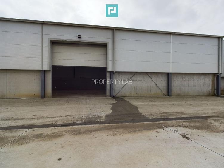 Hală industrială de 538mp Jebel, Timiș - 8
