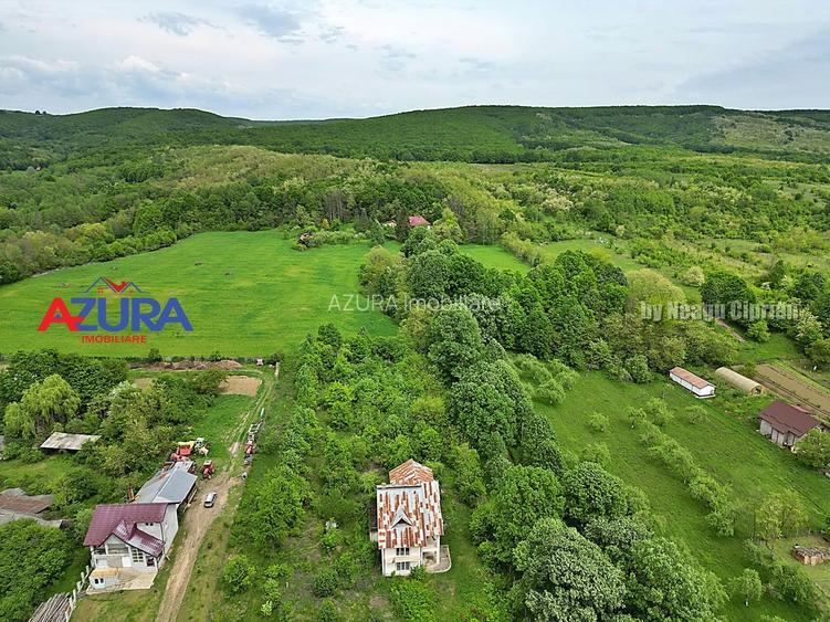 AZURA Imobiliare - Budeasa, Teren 5.069 mp, Casa BONUS - 9