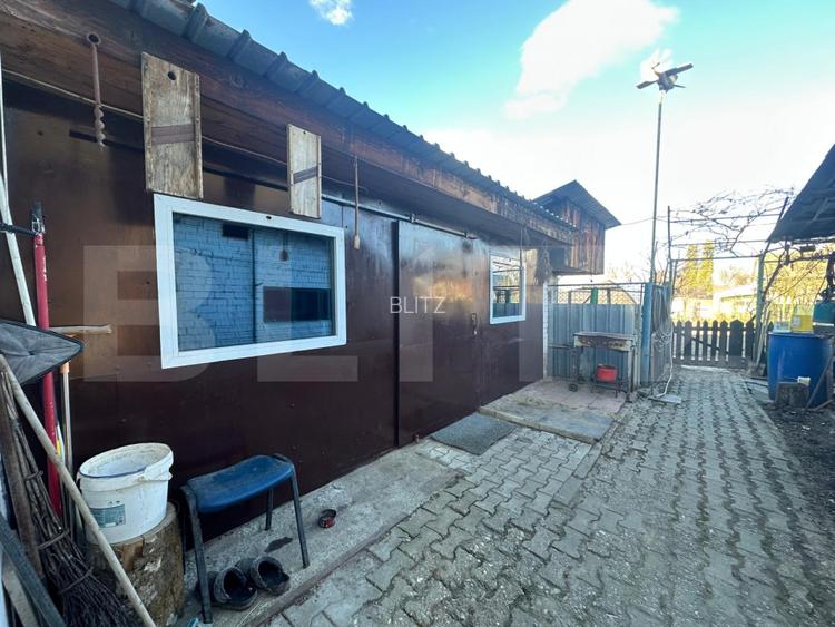 Casa individuala, curte si gradina, Harman - 12