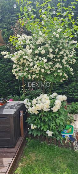 COMPOZITORI-VILA 5 CAMERE D+P+1 MOBILATA SI UTILATA POMPA CALDURA - 3