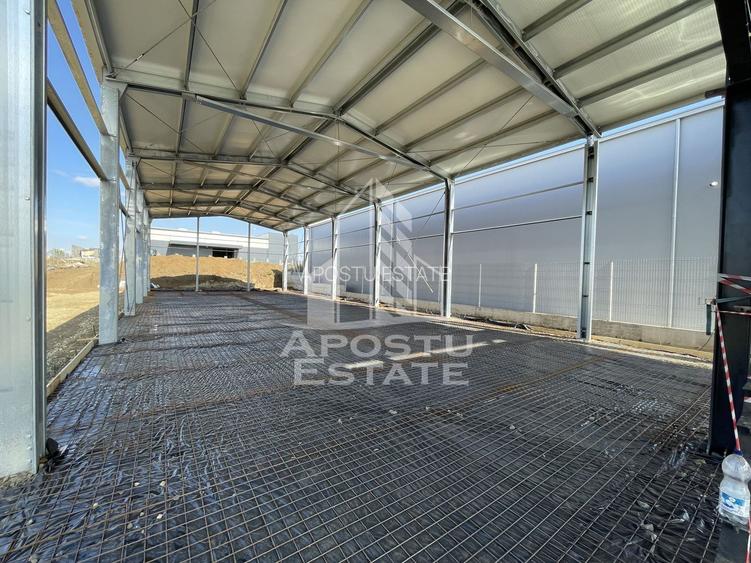 Hala + birouri, 590 mp, Giarmata - 3