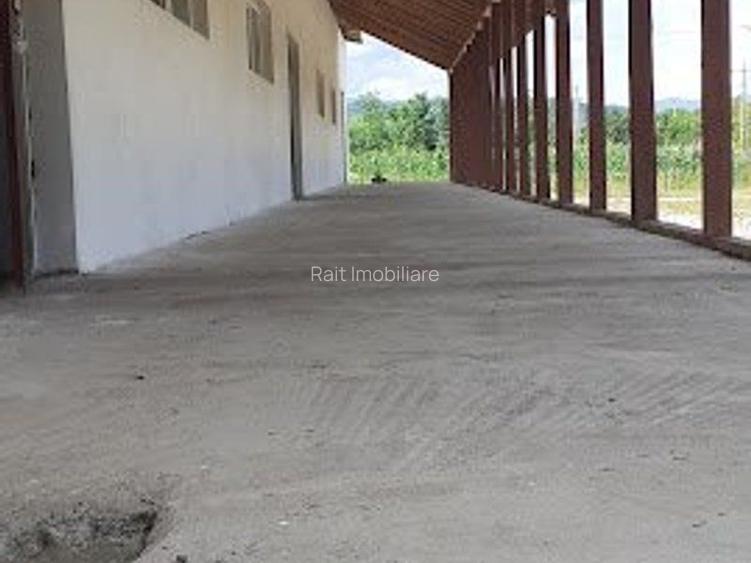 Hala de Inchiriat Godeni Arges - 3