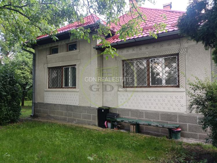 Casă de vânzare Ibănesți sat cu teren aferent de 4500 mp - 5