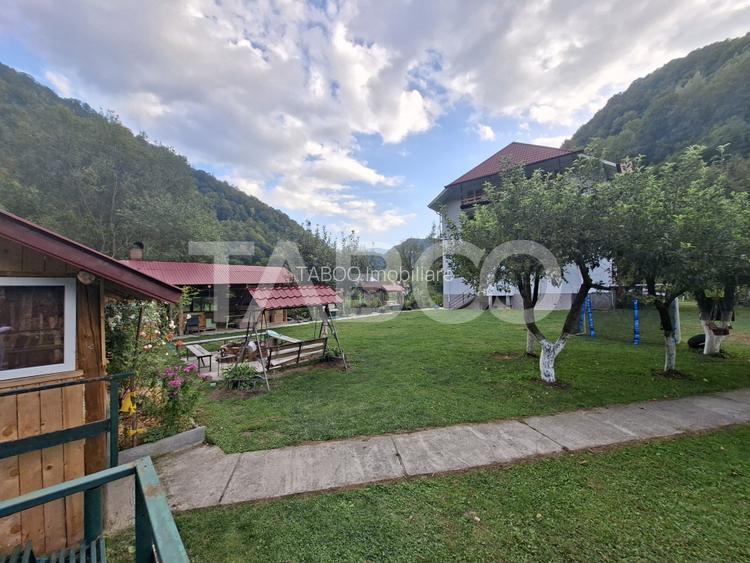 Spatiu de vanzare in Valea Macesului judel Valcea iesire la Lotru - 28