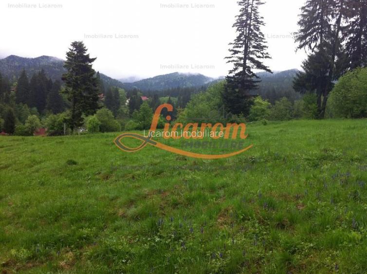 Teren intravilan Cotul Donului,pretabil Hotel/pensiune. - 6