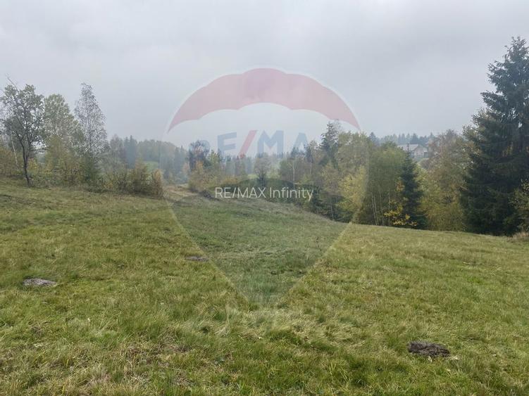 Teren de vanzare 8119 mp Calatele Padure.Muntii Apuseni - 10