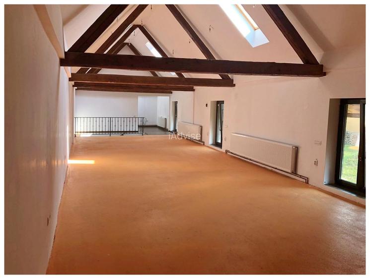 Spațiu de birouri sau productie Cristian - 2