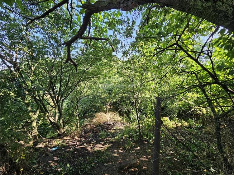 Casa la curte cu teren 646mp in Chiajna - 3