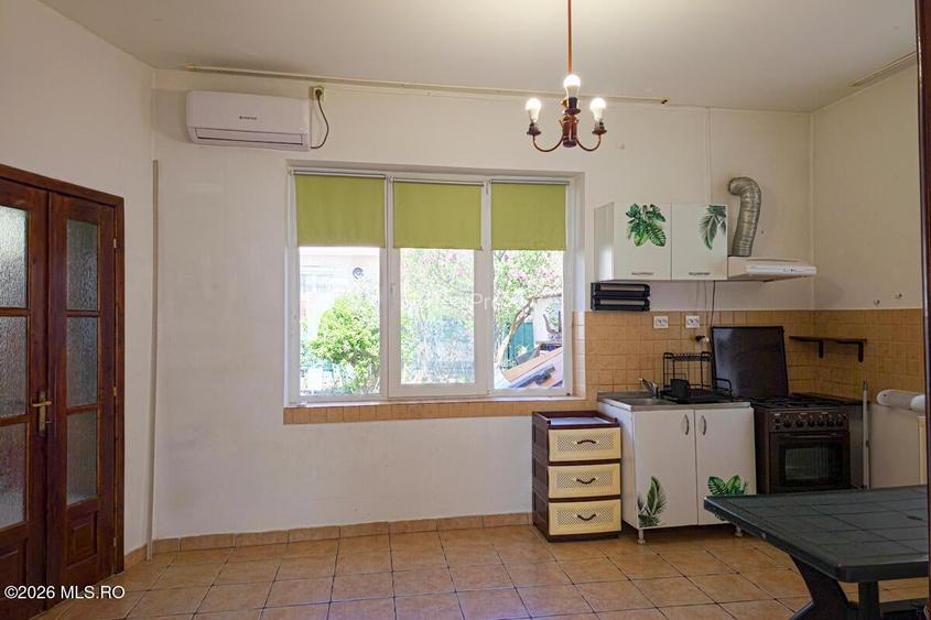 Lunei - Ion Neculce, 2 Apartamente. Mansarda 157 mp. Anexe, Lot 475 mp - 21