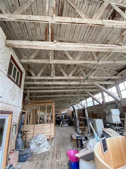 HALE-DEPOZIT DE VANZRE SI TEREN 10000 mp  AGAS jud.Bacau - 12