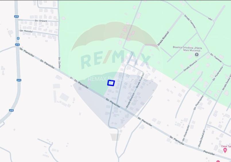De vânzare teren intravilan 540 mp în Paleu - 3