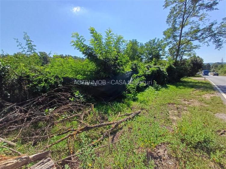 Resita, Teren Intravilan 5615 Mp., 25 Euro Mp., Calea Caransebesului, Memento - 15